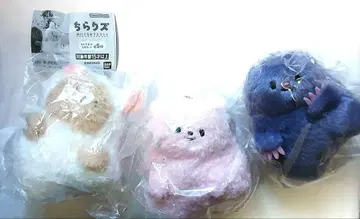 치라리즈 모구치 히치 우사치