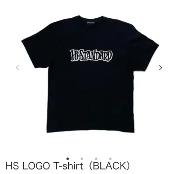 Hi-STANDARD HS LOGO T-shirt (BLACK) XL