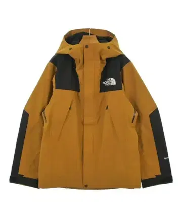 THE NORTH FACE 마운틴 후드티 남성용