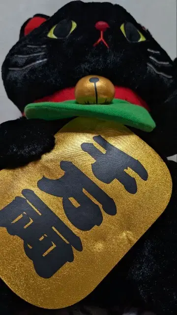 복을 부르는 고양이 냥길 울트라 BIG 봉제 인형 니지로 검은 고양이