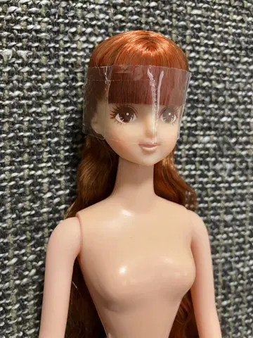 리카짱 캐슬 오타노시미 인형 사야카