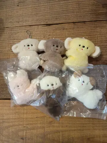 니코야마 포켓 6개 세트 물건 정리중