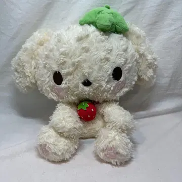 흐물흐물 봉제 인형 (M) Berry Puppy 베리 파피 산엑스