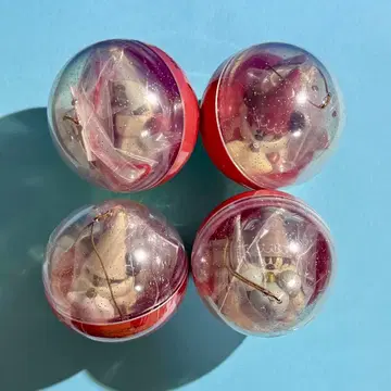 릴린린 캡슐 토이 컴플리트