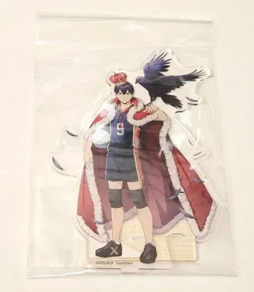 하이큐 아크릴 스탠드 카게야마