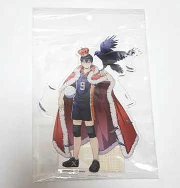 하이큐 아크릴 스탠드 카게야마