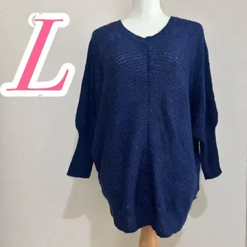 L 사이즈 블루 돌먼 니트 돌먼 슬리브 캐주얼 코디