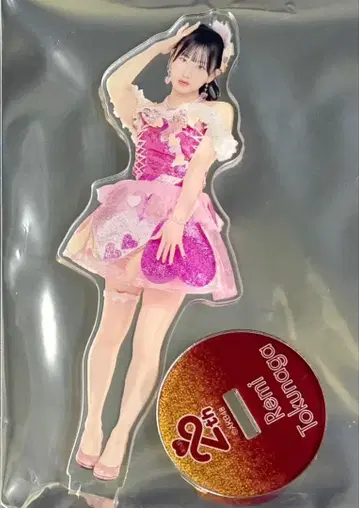 AKB48 SPECIAL 복권 토쿠나가 레이미 아크릴 스탠드