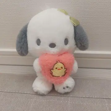 팽도리 액세서리