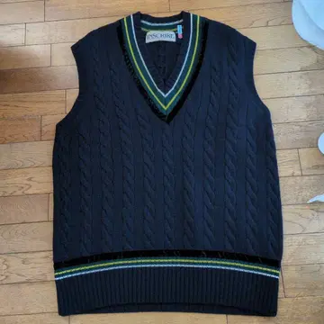 INSCRIRE V넥 니트 베스트