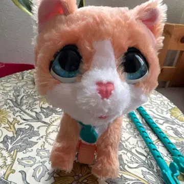 퍼리얼 산책 고양이