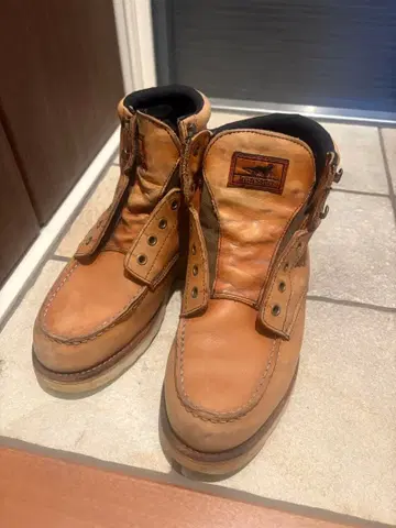 아이리쉬 세터 Irish setter 8E 고어텍스