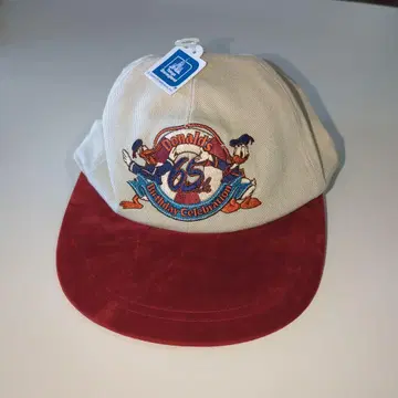 도날드 65th birthday celebration 캡