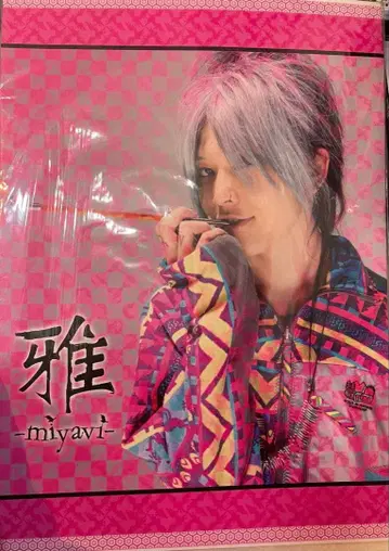 미야비 miyavi 무도관 라이브 팜플렛