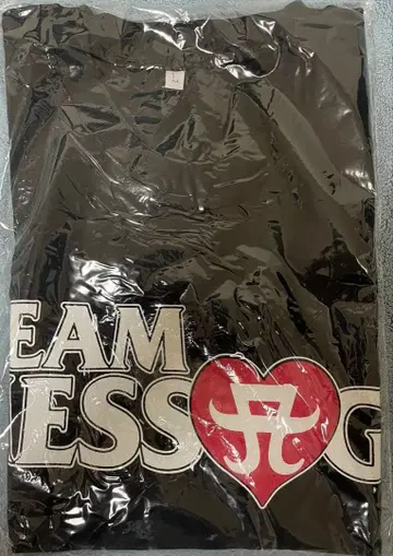 하마사키 아유미 TEAM MESSAG 블랙 T셔츠 L 사이즈