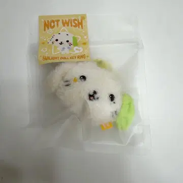 NCT WISH 응원봉 키링 료 료료