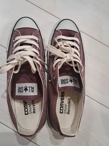CONVERSE ALL STAR 버건디 US 5