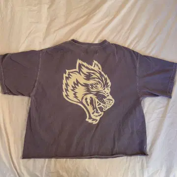 DarcSport SHE 빈티지 셔츠