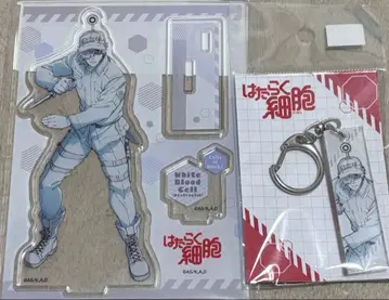 일하는 세포 아크릴 스탠드 아크릴 스틱 키링 백혈구