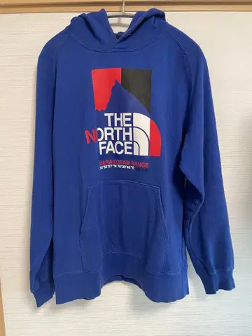 THE NORTH FACE 후드티