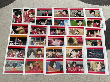 하이큐 쓰레기장의 결전 파샤코레 쿠로오 테츠로 코즈메 켄마