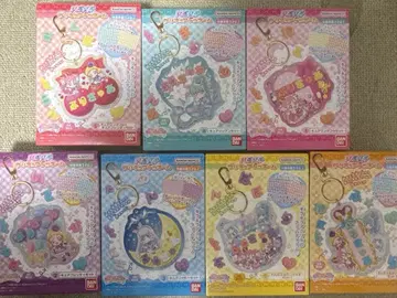 파치파치 프리큐어 데코네임 원더풀 프리큐어 7종