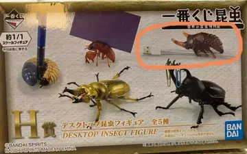 제일복권 곤충 H상 데스크탑 곤충 피규어 장수풍뎅이 번데기
