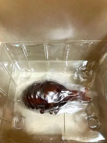 제일복권 곤충 H상 세계의 곤충 박물관 곤충 피규어 장수풍뎅이 번데기