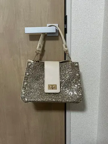 다이애나 파티 백