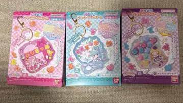 파치파치 프리큐어 데코 네임 원더풀 프리큐어