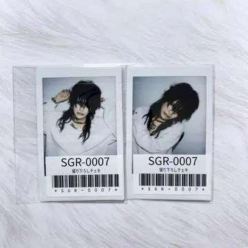 sugar Siz 폴라로이드