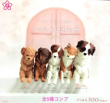 함께 잠들어요~ 강아지~ 총 5종 컴플리트