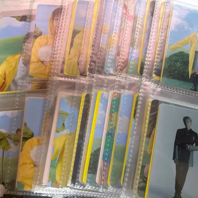 세븐틴 캐럿반 처분