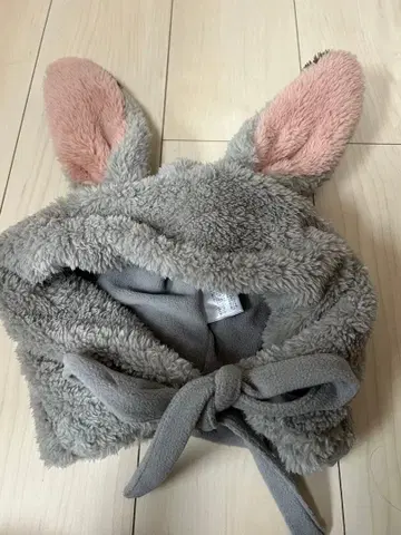 디즈니 주디 후드