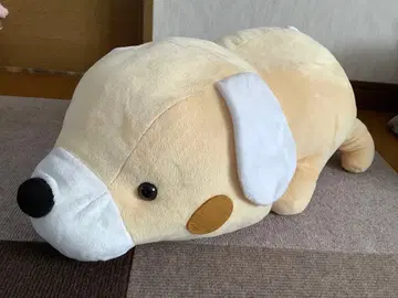 개 BIG 봉제 인형