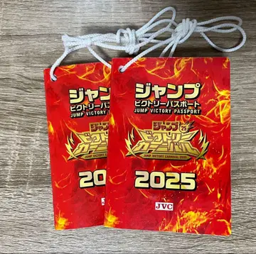 빅토리 카니발 여권 2025