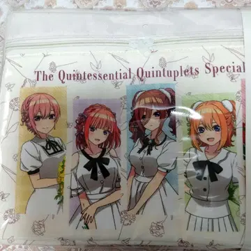 미개봉품 5등분의 신부 뚜껑 포함 수납 박스