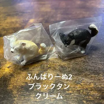 펀바리누 2 치와와 (블랙탄) 치와와 (크림)