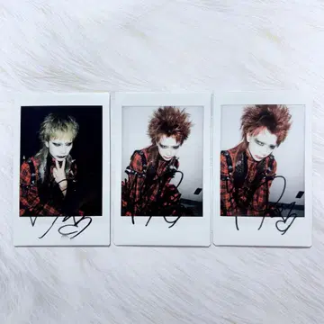 sugar 유키치 폴라로이드