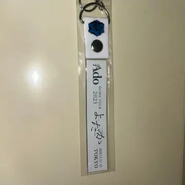 do DOME TOUR 2025 키링