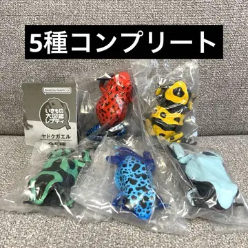 [ 새상품 ] 생물대도감 쁘띠 독화살개구리 5종 세트