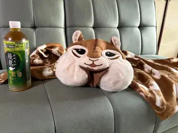 무료배송 디즈니 쵸리스 유아 방한 굿즈 모자 부착 담요