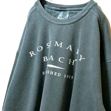 컴포트 컬러즈 로즈마리 비치 맨투맨 트레이닝복 그린 XL 구제 의류