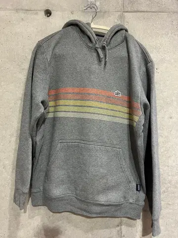 Patagonia 그레이 스트라이프 후드티