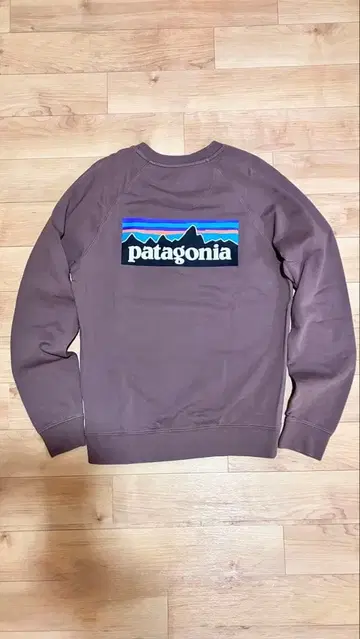 [ S 사이즈 ] Patagonia 파타고니아 P-6 로고 스웨트 셔츠