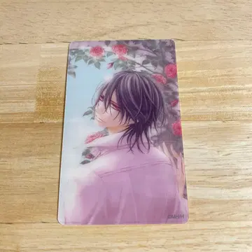 뱀파이어 기사 원화전 클리어 카드 쿠란 카나메