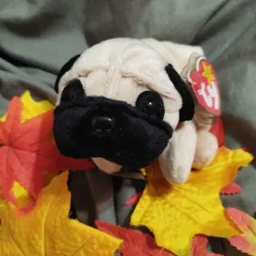 ty 비니 베이비즈/개 퍼그