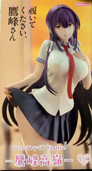 Trio-Try-iT 타카미네 타카네 피규어