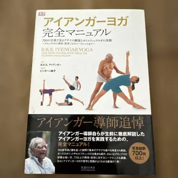 아이언 가 요가 완전 매뉴얼 700장의 사진으로 보는 아사나와 해설