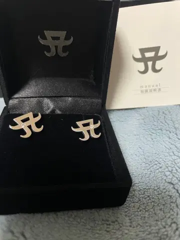 하마사키 아유미 A 로고 귀걸이 수량 한정 생산